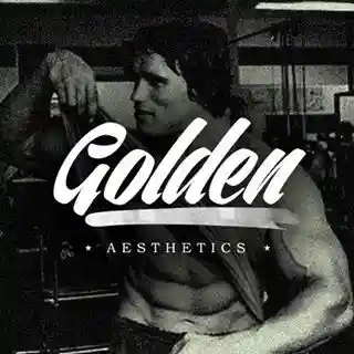  Goldenaesthetics.com Promo Codes