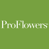 proflowers.com